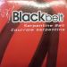 K030268 - Courroie Serpentine BLACK BELT 11-10 KIA Soul, 10-05 Sportage, 09-04 Spectra, 04-01 Ford Escape,